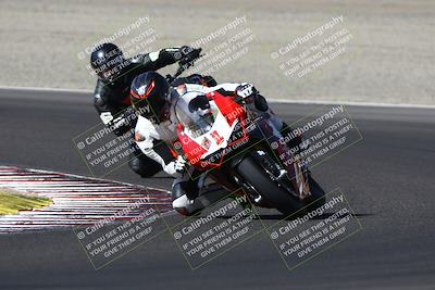 media/Aug-31-2024-TrackDaz (Sat) [[d39206e9d9]]/A Group/10a (Turn 3)/